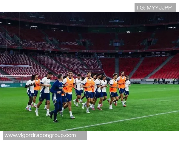 杭州足球队在世界杯预选赛中的战术分析与表现评估