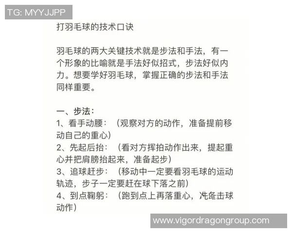 羽毛球专题：深入探讨杭州羽毛球队的比赛策略与经验分享