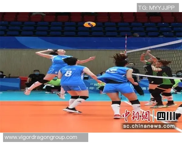 排球评论：成都排球队的运营得失