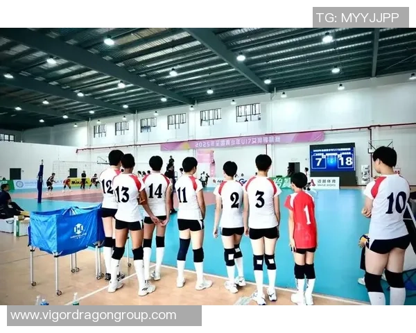 热议排球：上海排球队的耐力变革