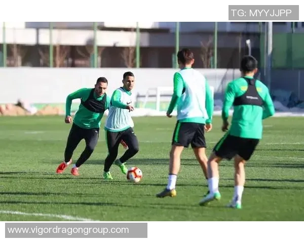 独家分析：北京排球队的个人能力对比